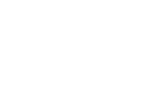Otter Horizon – Joyful tomorrow, in your paws today.